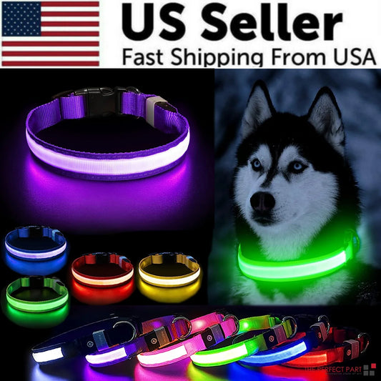 Trending LED Adjustable Dog Collar Flashing Light 
